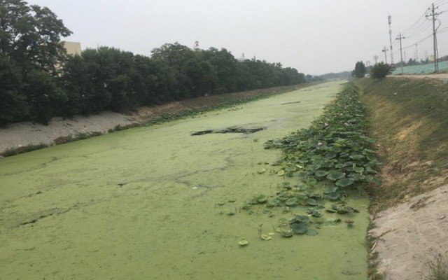Phoslock Environmental Technologies moves to commercialise Chinese wetland project