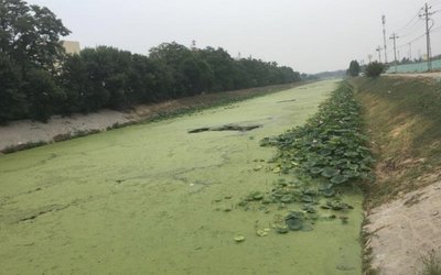 Phoslock Environmental Technologies moves to commercialise Chinese wetland project