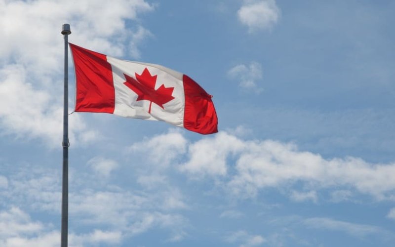 Piedmont Lithium makes strategic investment in large Newfoundland project