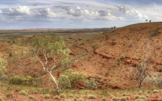 Pilbara gold stocks take a twenty per cent haircut after Novo disappoints