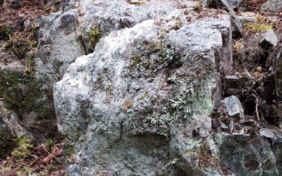 Pioneer Lithium identifies new pegmatite outcrops at Red Squirrel prospect