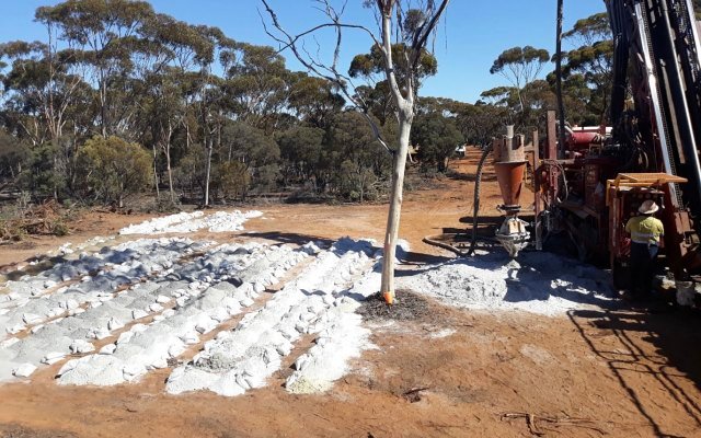 Pioneer Resources encounters pegmatite in first holes at recently discovered Dome North