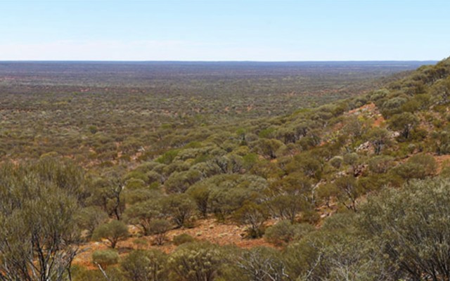 Podium Minerals boosts Parks Reef platinum group metal resource by more than 50%