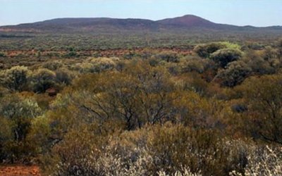 Podium Minerals reveals high-value rhodium at Parks Reef