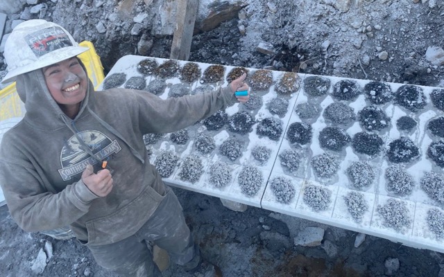 PolarX identifies visible gold-silver mineralisation at Star Canyon