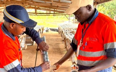 Predictive Discovery fully funded as Lundin and Zijin commit $69.2m to Bankan gold project in Guinea