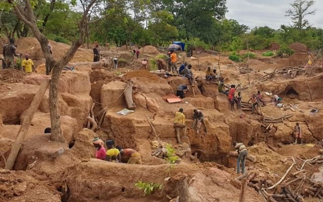 Predictive Discovery uncovers 52g/t gold at Kaninko