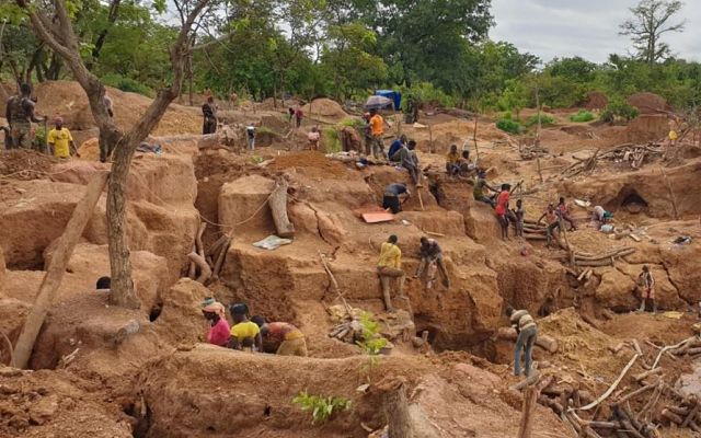 Predictive Discovery uncovers 52g/t gold at Kaninko