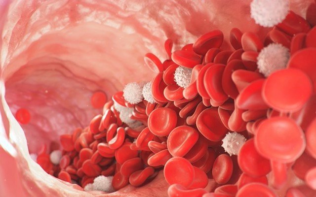 Prescient Therapeutics begins recruiting for expanded trial of PTX-100 in blood cancer
