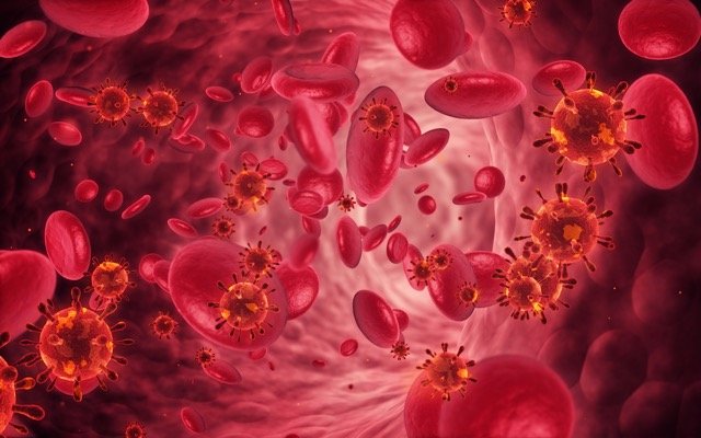 Prescient Therapeutics enters strategic collaboration with renowned US cancer centre