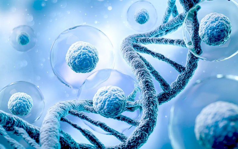 Prescient Therapeutics gains fast-track FDA designation for PTX-100 to treat T-cell lymphoma