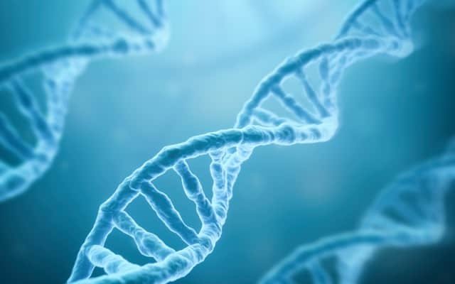 Prescient Therapeutics to present OmniCAR and CellPryme abstracts at international gene therapy conference