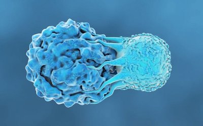 Prescient Therapeutics’ PTX-100 continues showing promising results in clinical T cell lymphoma trial