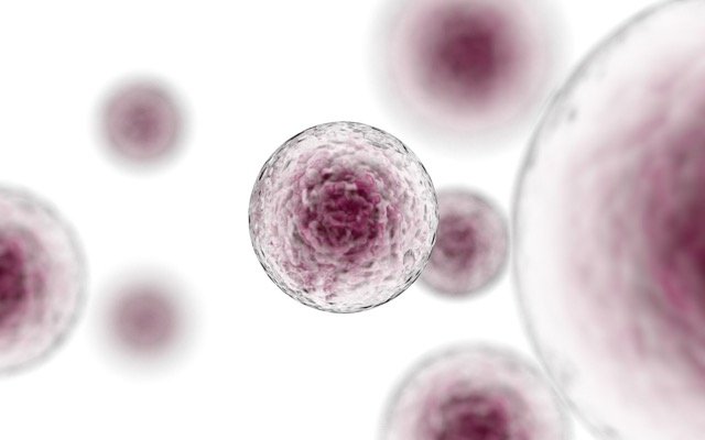 Prescient Therapeutics unveils high performance cell therapy technology CellPryme-M