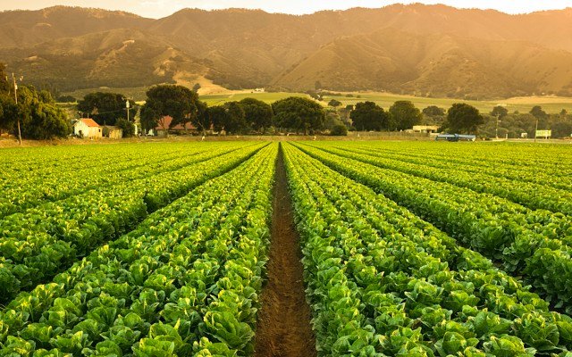 Primewest swoops to acquire GoFARM Asset Management in $10 million deal