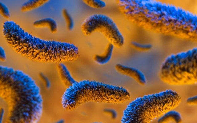 Purifloh to commence air purification testing on airborne tuberculosis in Indian hospitals