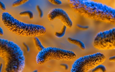 Purifloh to commence air purification testing on airborne tuberculosis in Indian hospitals