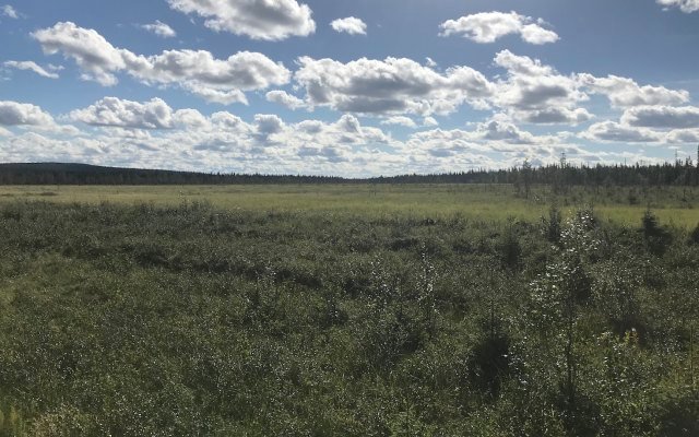 Pursuit Minerals reports ‘exceptional’ grade vanadium concentrate at Koitelainen Vosa