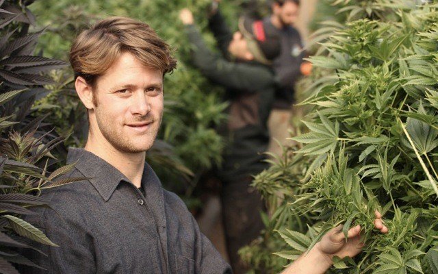 Queensland Bauxite continues diversification mission via Israeli medicinal cannabis developer Pharmocann