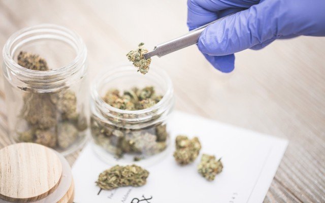 Queensland Bauxite receives key medical cannabis import-export licences from Office of Drug Control