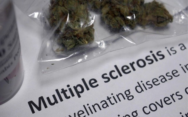 Queensland Bauxite dives into ‘world first’ research to treat multiple sclerosis with medicinal cannabis