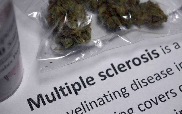 Queensland Bauxite dives into ‘world first’ research to treat multiple sclerosis with medicinal cannabis