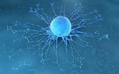 Race Oncology heads into 2022 with extra $29.7m in bank to advance lead drug Zantrene