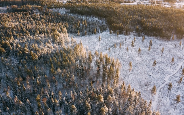 Ragnar Metals gains off road permit from Swedish authorities, plans post COVID-19 exploration of Tullsta nickel project