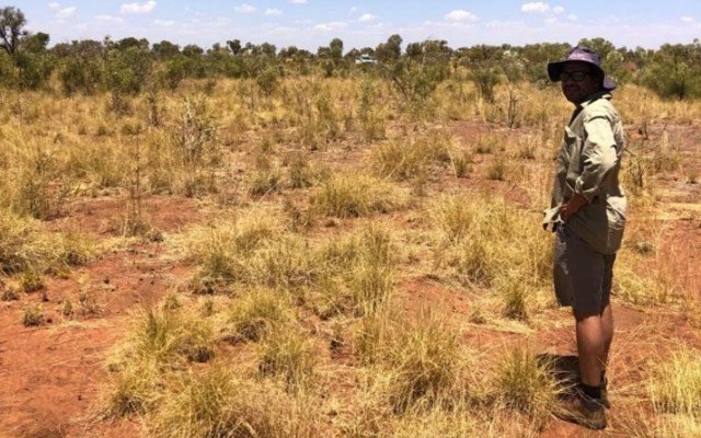 RareX highlights nickel-copper-PGE targets at Byro East