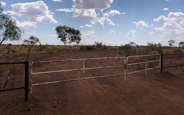 RareX uncovers wide high-grade intercept at Cummins Range rare earths project