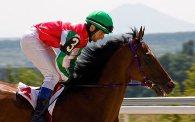 RAS Technology lifts ARR to $21.1m on Hong Kong acquisition and new contracts