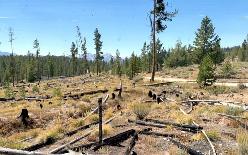 Red Mountain Increases US Critical Minerals Footprint with Silver Dollar Project Acquisition