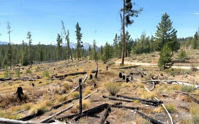 Red Mountain Increases US Critical Minerals Footprint with Silver Dollar Project Acquisition