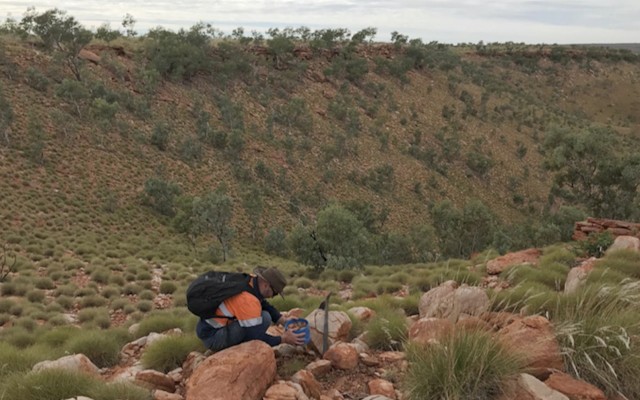 Red Mountain reveals rock chip plans for rare earths as drill hole nears gold target in WA