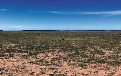 Renascor Resources ups Siviour graphite resource by 25%, considers further expansion