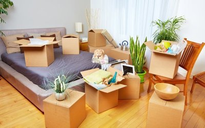 Rent.com.au achieves $250m payment milestone on RentPay platform