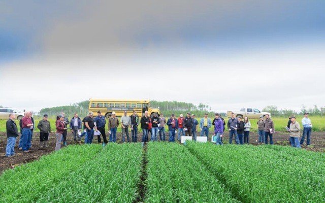 Resilient Fertoz looks forward to cannabis growers boosting phosphate demand