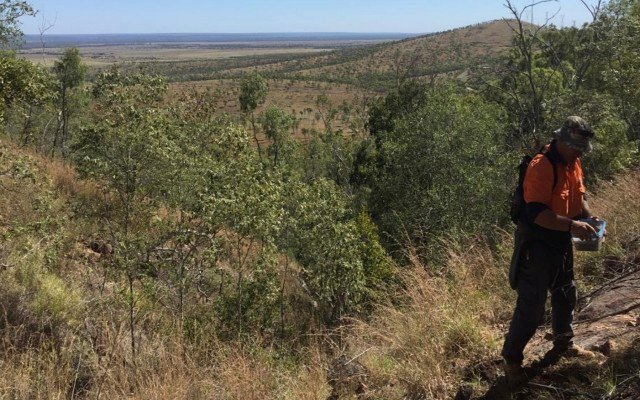 Resources & Energy Group updates Mount Mackenzie project economics in light of strong gold price