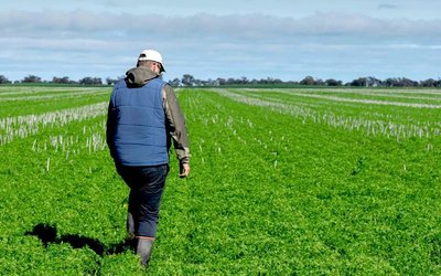 RLF AgTech signs deal to supply crop nutrition products to Australian farmers through Elders network