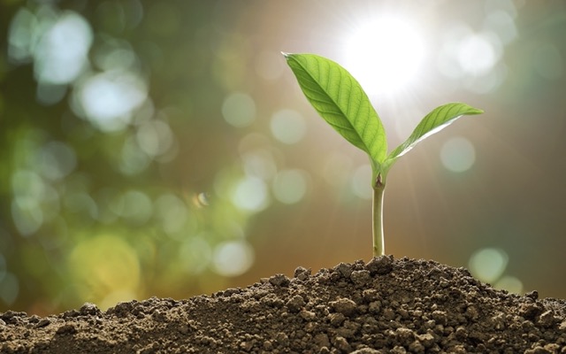 RLF AgTech targets global growth and agricultural change with public listing