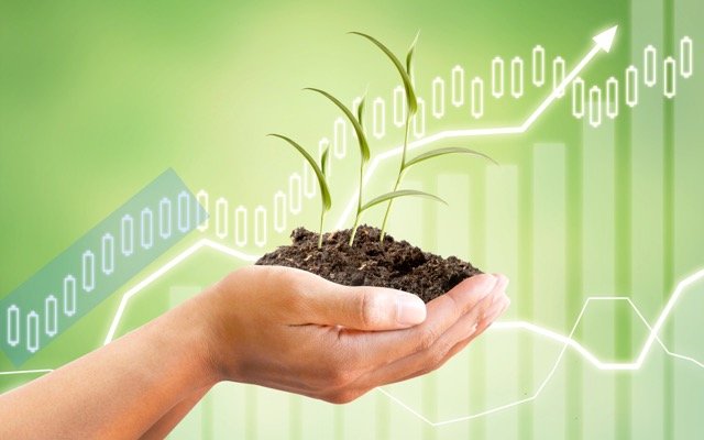 RLF AgTech reveals $1.2m in forward sales contracts from long-standing Chinese customers