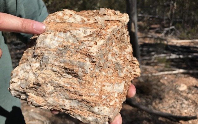 Rock chip samples reveal up to 4.6% lithium oxide for Liontown Resources