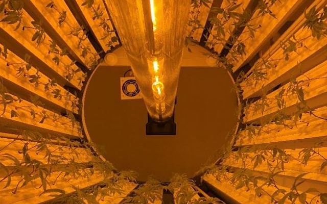 Roto-Gro customer Oakum plants first commercial cannabis crop in Canada