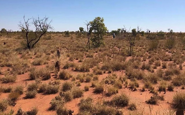 Sagon debuts ‘globally significant’ maiden REE resource for Cummins Range