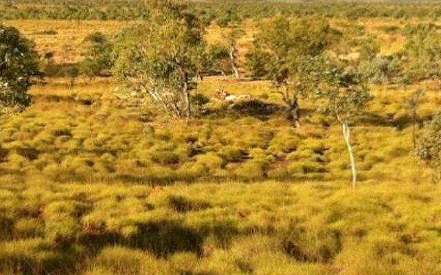 Sagon Resources cements Cummins Range rare earths project ownership as US looks to Australia for supply