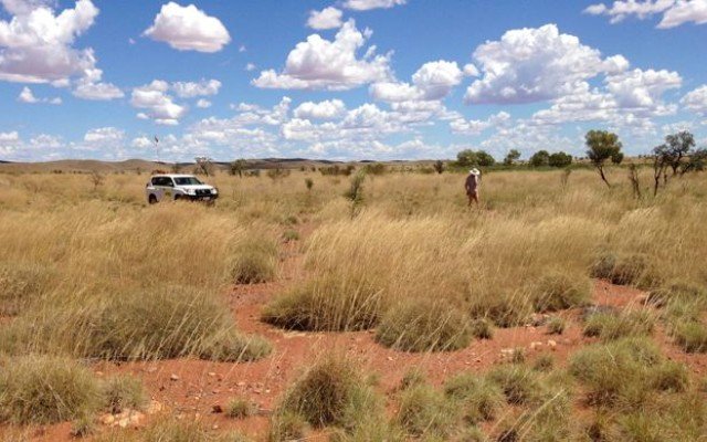 Sayona Mining signs earn-in agreement with Altura to progress WA lithium portfolio