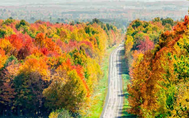 Sayona Mining uncovers high-grade lithium at Tansim project