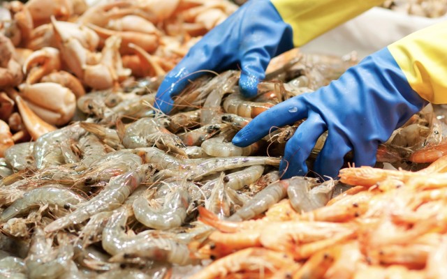 Sea Harvest Group seeks to reel in Mareterram with takeover offer