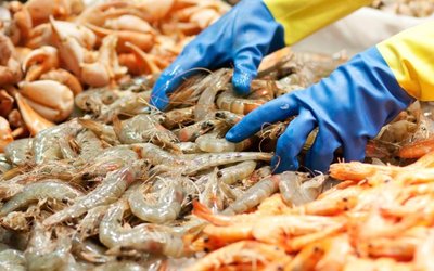 Sea Harvest Group seeks to reel in Mareterram with takeover offer