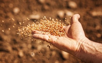 Security Matters advances agricultural seed integrity technology towards commercialisation
